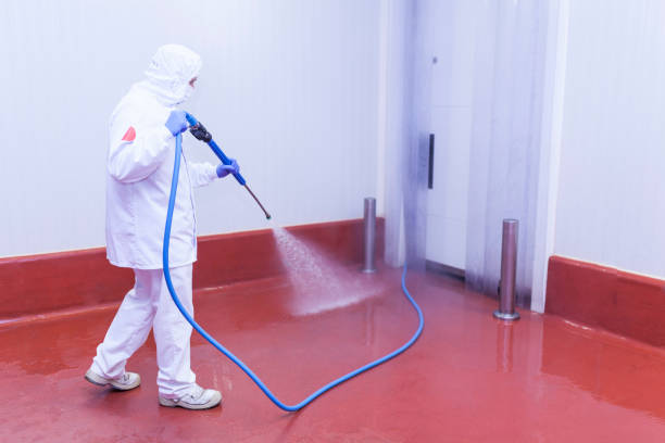 Best Roof Washing  in Janesville, CA