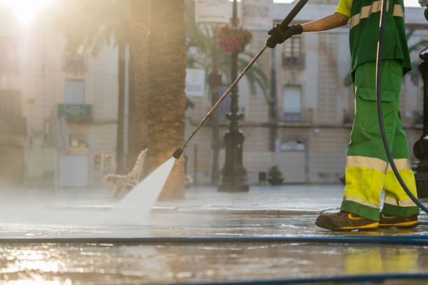 Best Pool Deck Cleaning  in Janesville, CA